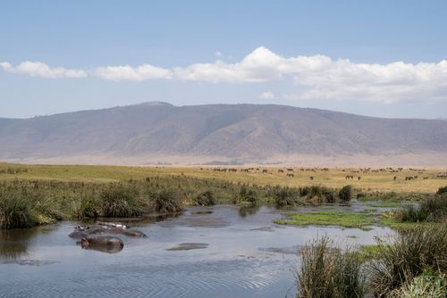 Alla scoperta del gigantesco cratere di Ngorongoro nel cuore della Tanzania