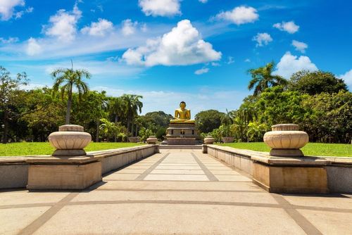 Besuch des Viharamahadevi-Parks in Colombo: Ausruhen im Schatten der Bäume