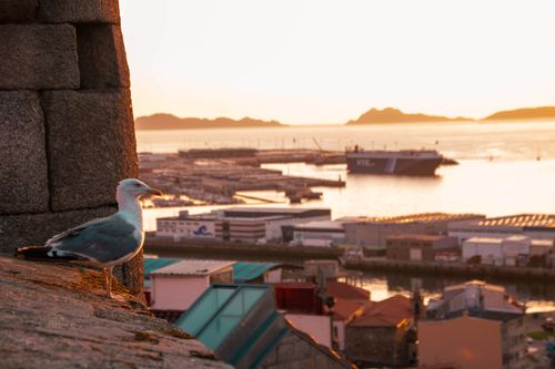 El Casco Vello, el encuentro entre historia y modernidad