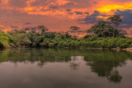 Tortuguero, la piccola Amazzonia della Costa Rica