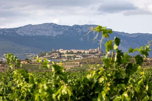 Cet été, cap vers les paysages de la route du vin de Rioja Alavesa au Pays basque espagnol