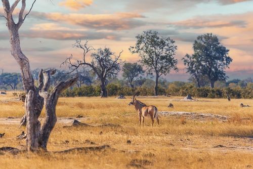 Ce pays d'Afrique aux paysages spectaculaires et classés à l'Unesco est encore très peu visité par les touristes !