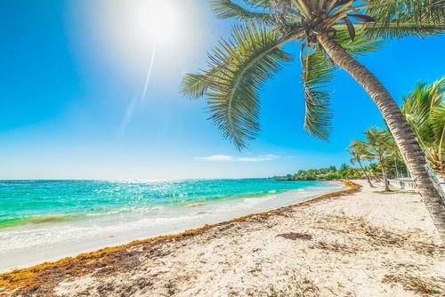 Voici 5 des plus belles plages de Grande-Terre en Guadeloupe !