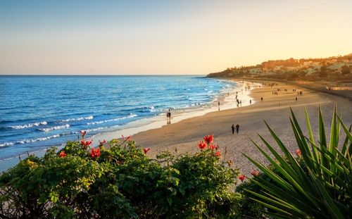 Vous partez aux Canaries ? 4 plages à voir absolument à Fuerteventura !