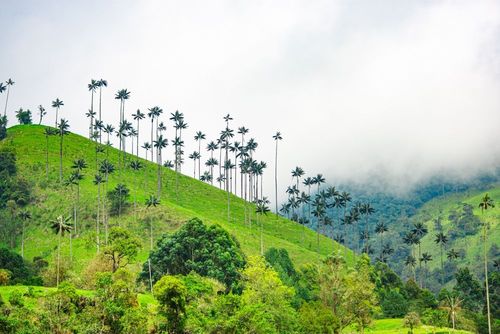 Envie d’évasion ? La Colombie regorge de lieux à couper le souffle loin du tourisme de masse