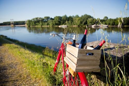 En bateau, à vélo ou à pied, 3 sorties nature à faire en famille (ou entre amis) lors d’un séjour en Touraine