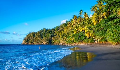 Ces plages de sable noir fascinent par leur beauté volcanique unique et leur atmosphère envoûtante