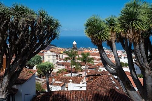 On a repéré ce bon plan à Tenerife : 6 jours en hôtel avec vue sur l’océan avec vol dès 423 € !