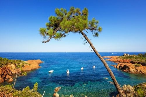 Dimenticate Saint-Tropez o Fréjus, questi 7 luoghi selvaggi e incontaminati del Var sono ancora nascosti alla vista!