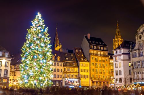 On va tous à Strasbourg, mais le plus grand sapin de Noël se trouve dans une autre commune d'Alsace 