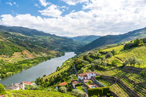 Das Douro-Tal und seine Weinberge