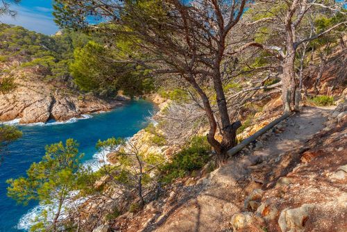 Costa Brava : 4 sentiers de randonnée magnifiques à découvrir à Lloret de Mar !