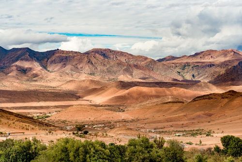 Scoprite Taliouine e il suo tesoro: lo zafferano!