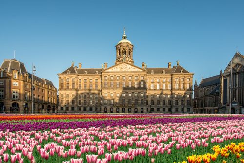 Visit the Royal Palace, the official reception venue for the royal family in Amsterdam