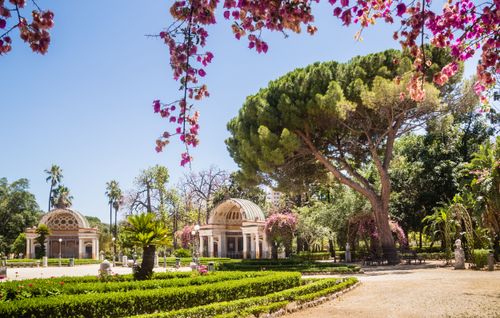 Palermo's botanical garden: a paradise for the eyes and for reconnecting with nature