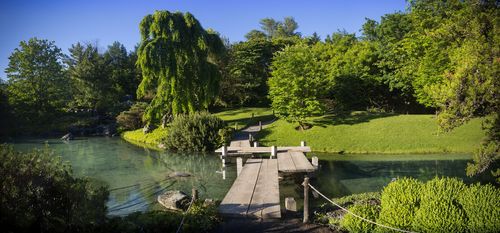 Pasear por los jardines botánicos de Montreal