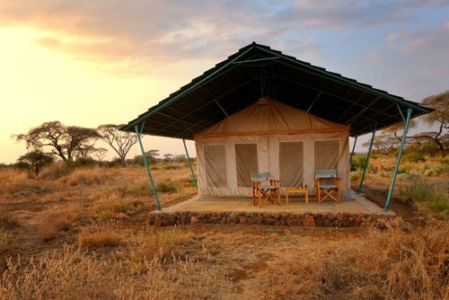Top 5 des plus beaux lodges pour un safari d’exception au Kenya 