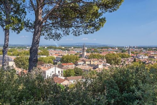 Il giardino del Rocher des Doms, una cornice di verde nel cuore della città