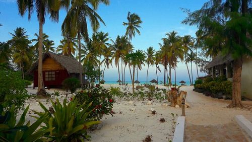 TOP 10 degli hotel sul mare più belli di Zanzibar