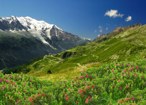 Beaufort, Steinböcke, Biwaks: 5 Tage Wanderung in der schönen Savoie